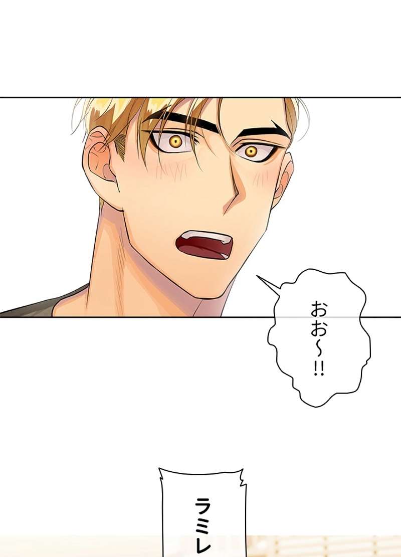 P53