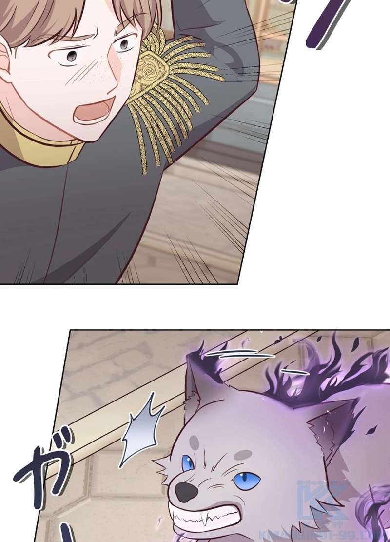 P58