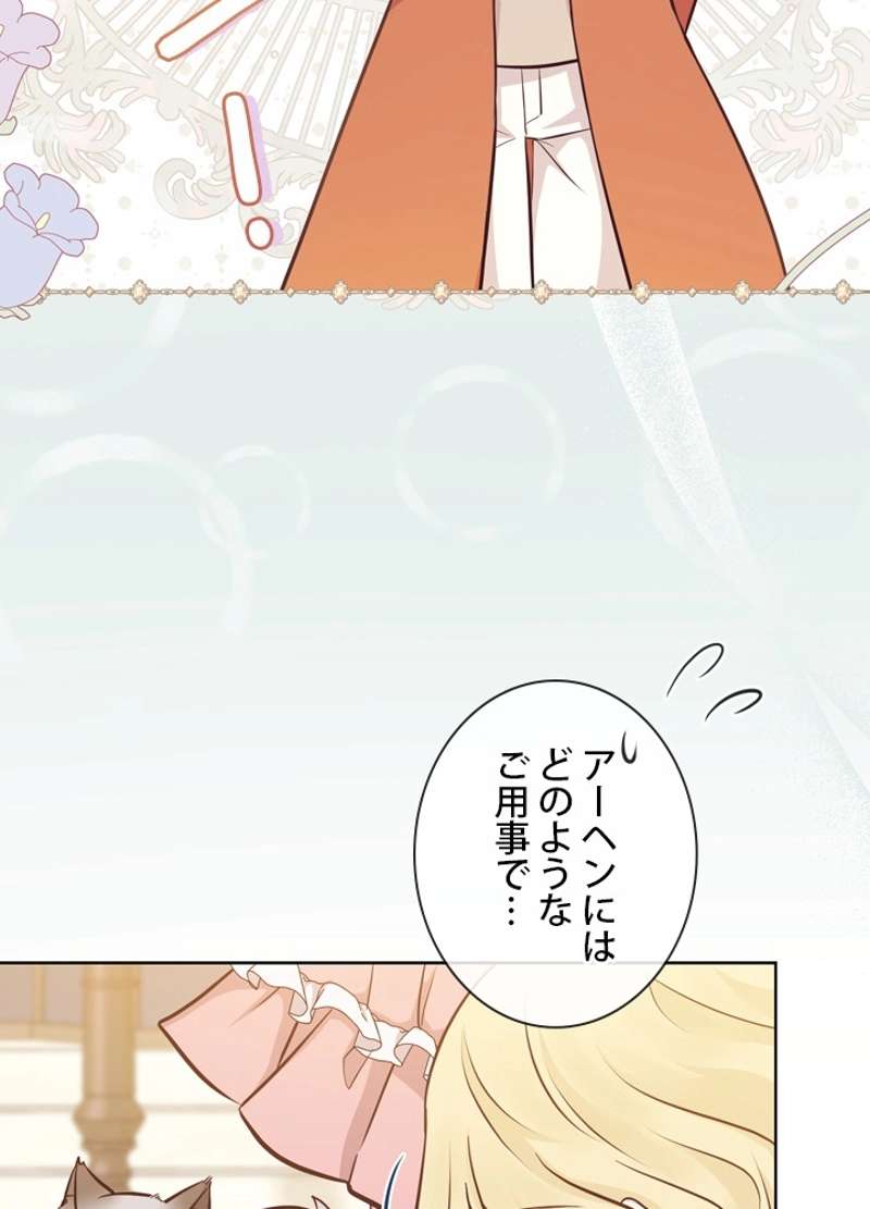 P66