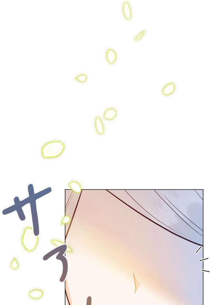 P66