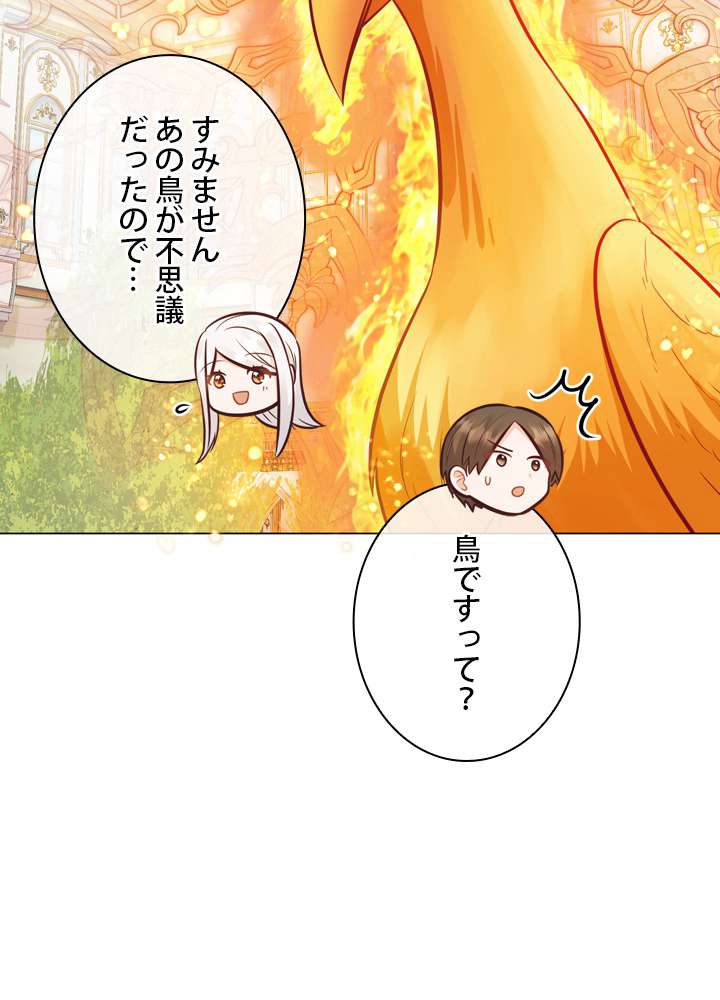 P81
