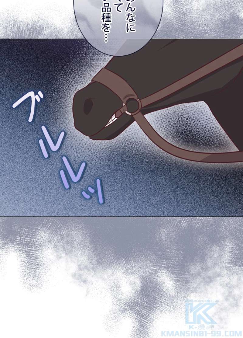 P61