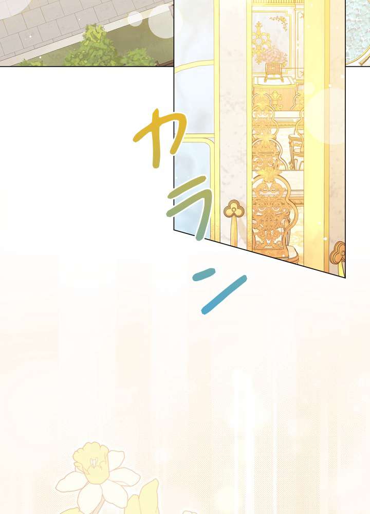 P44