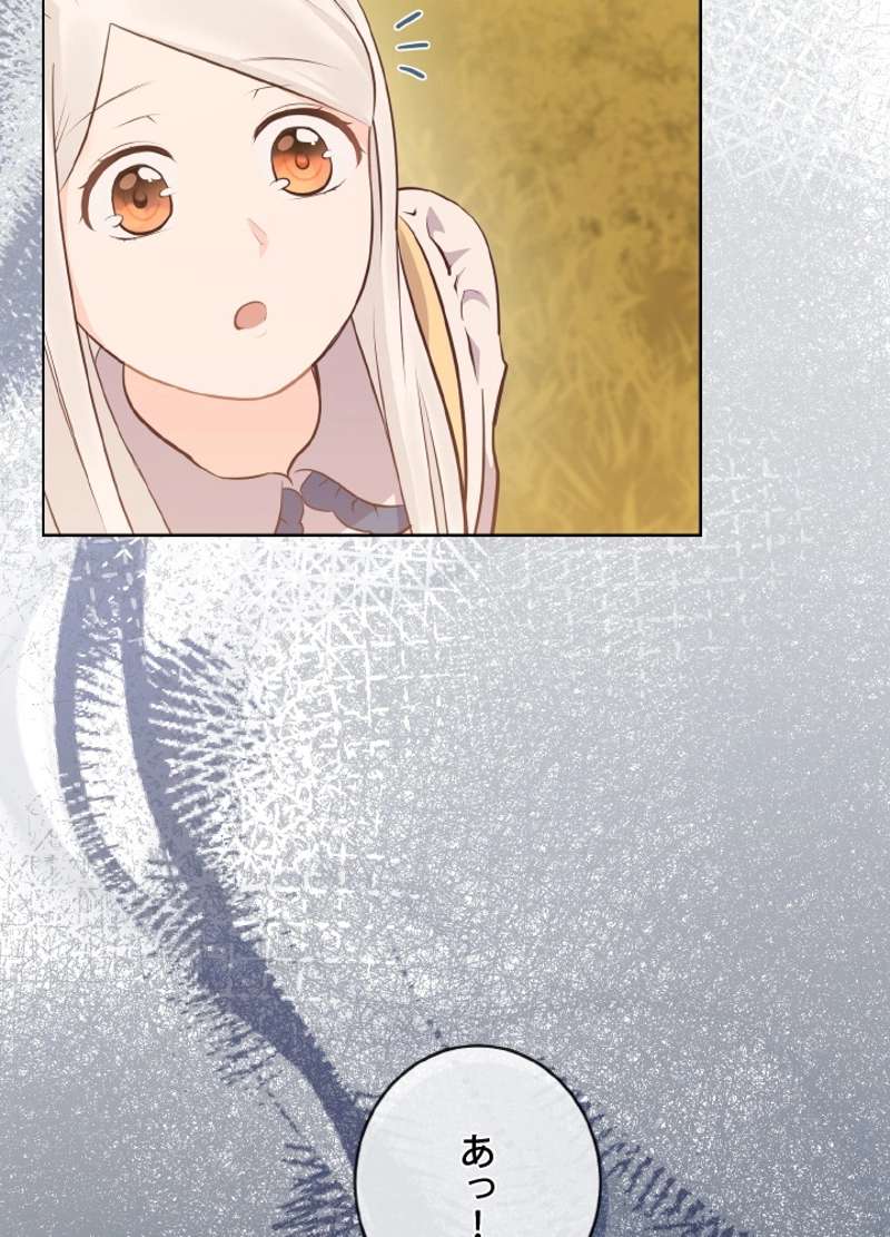 P80