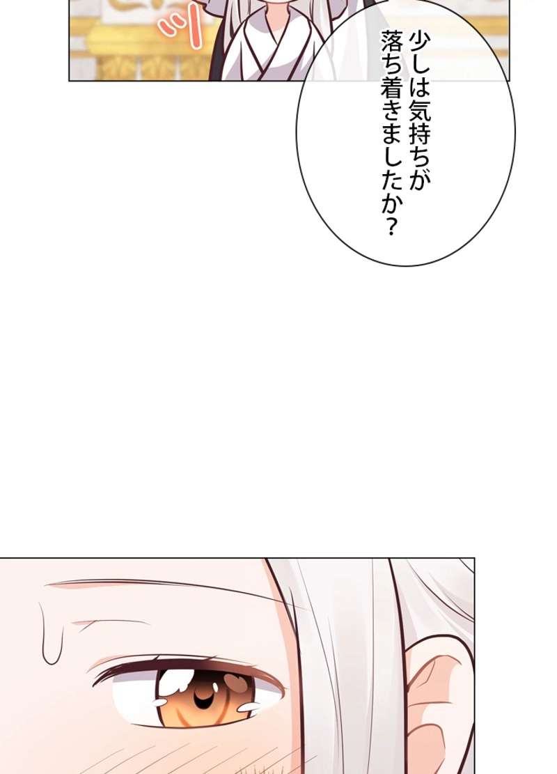 P66