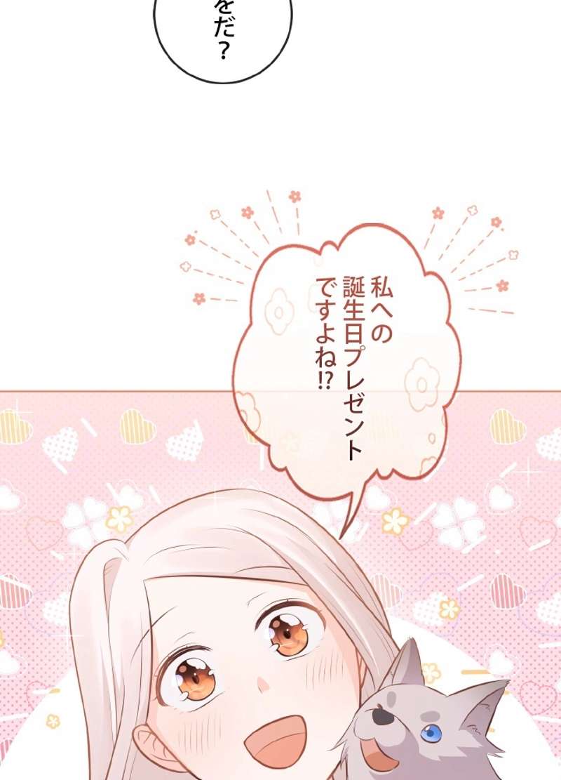 P81