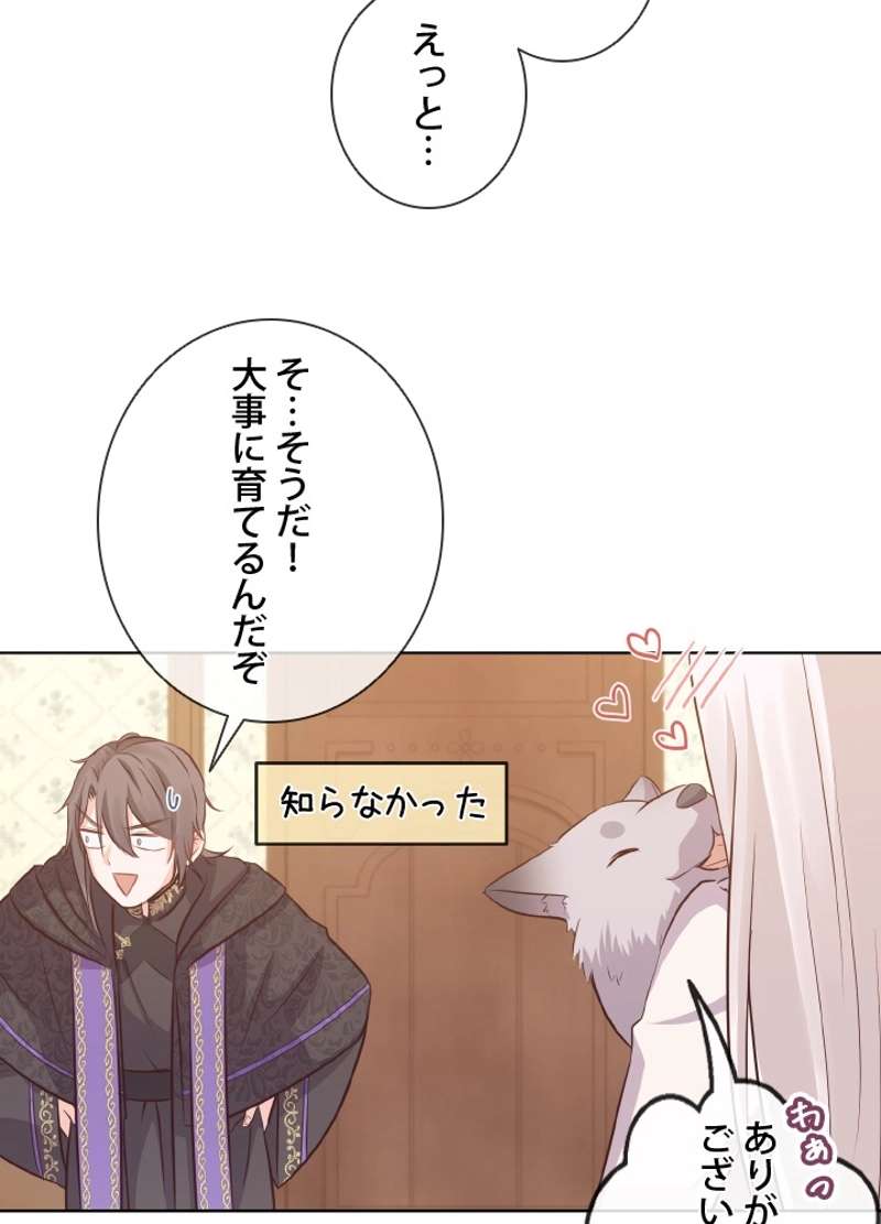 P83