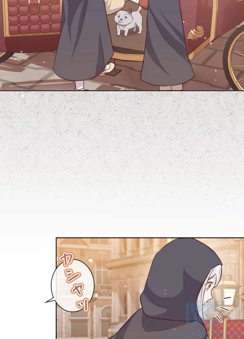 P55