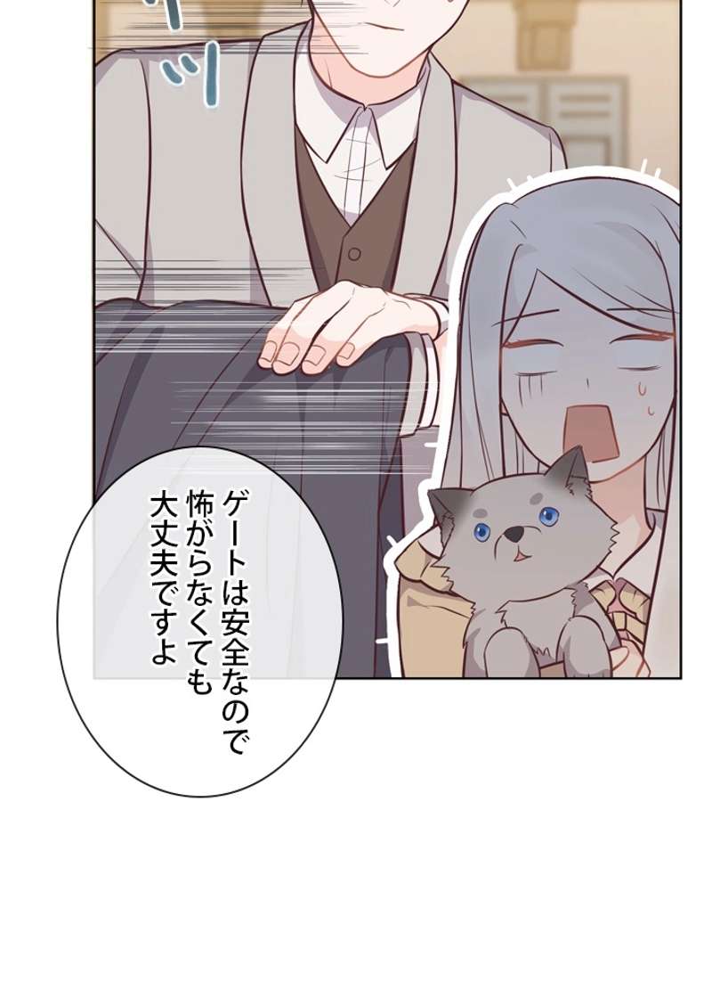 P60