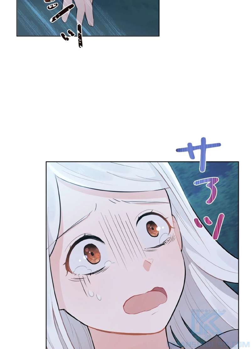 P64