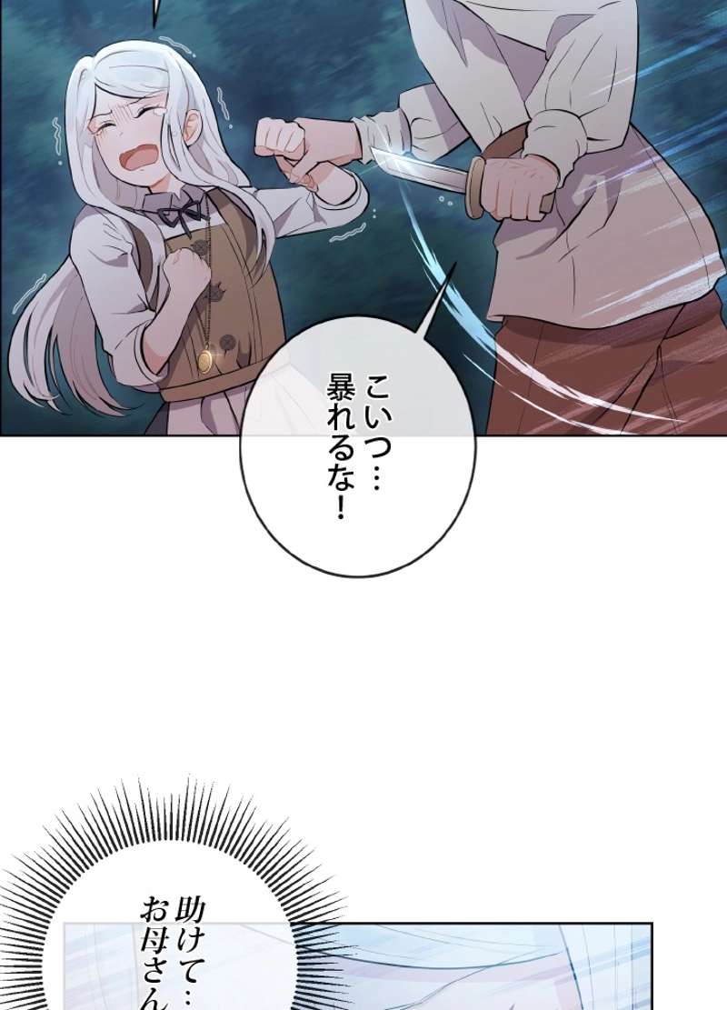 P66