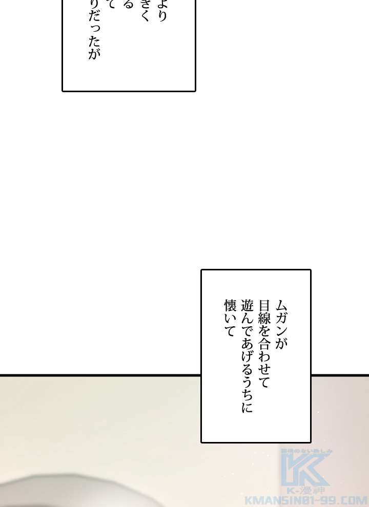 P61