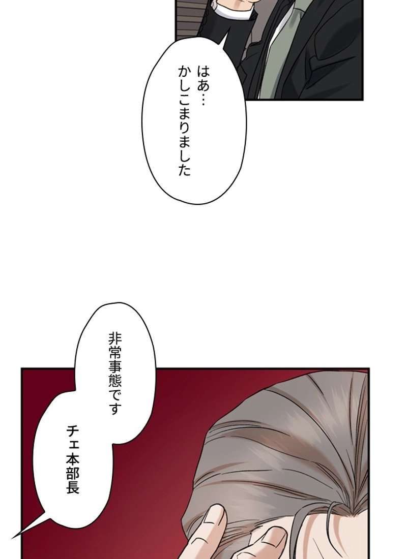 P63