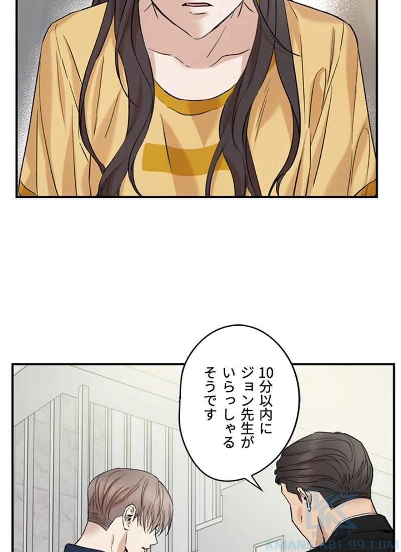 P53