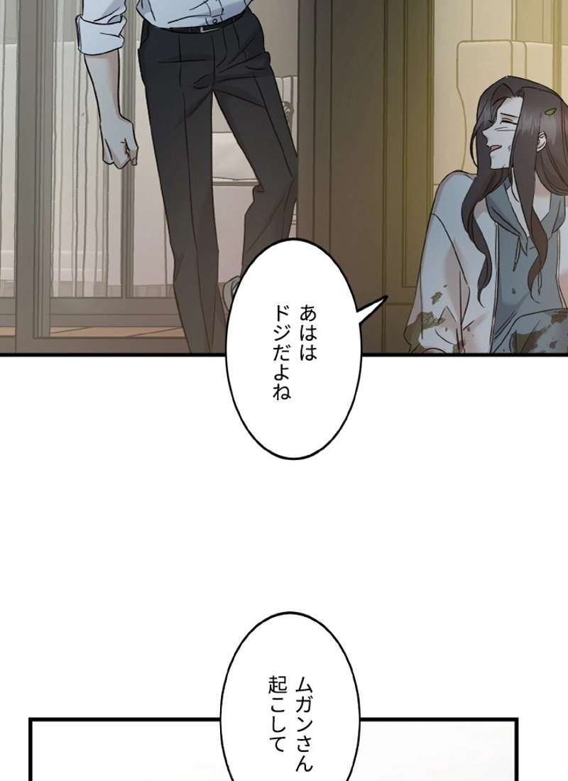 P66