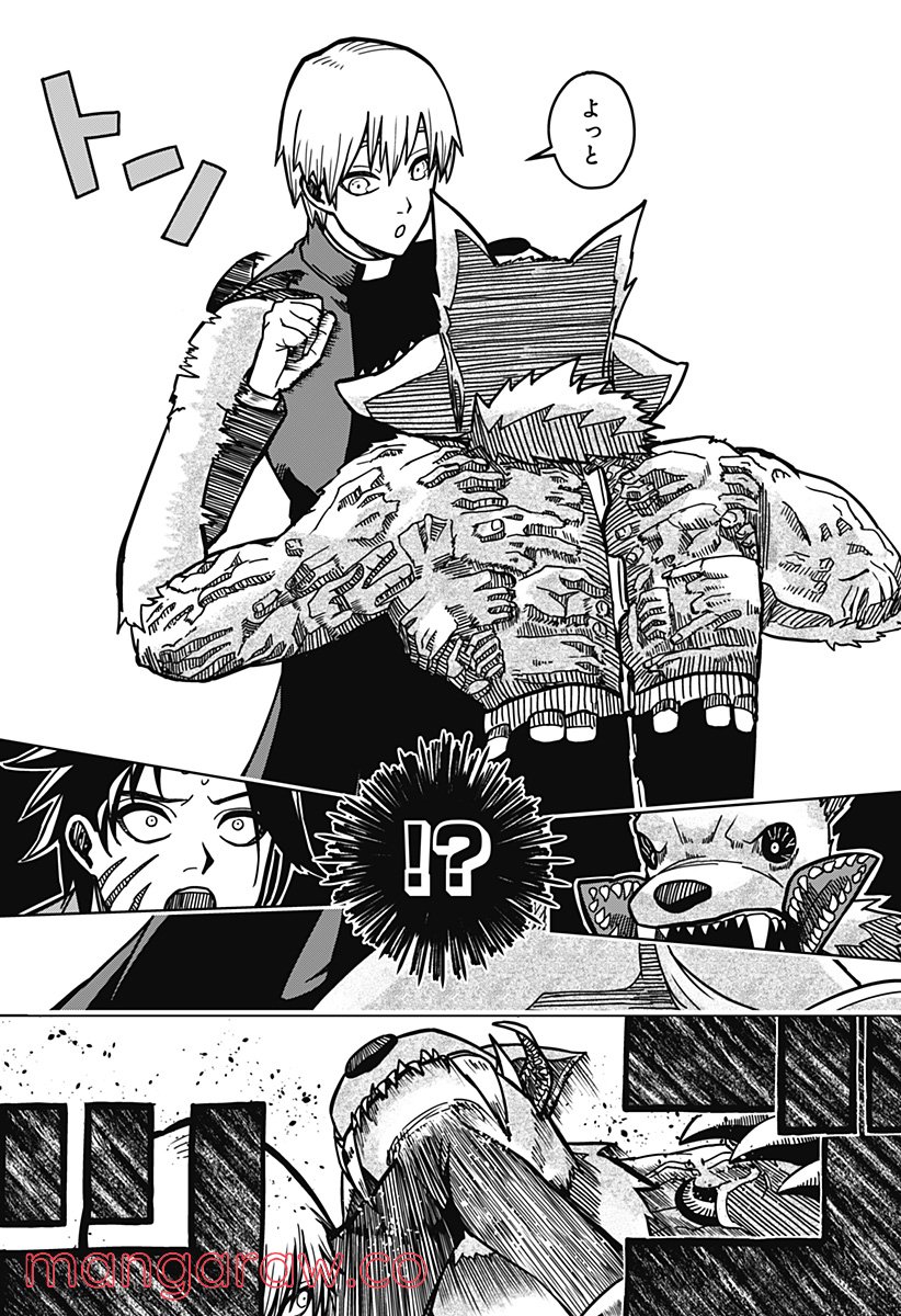 P29
