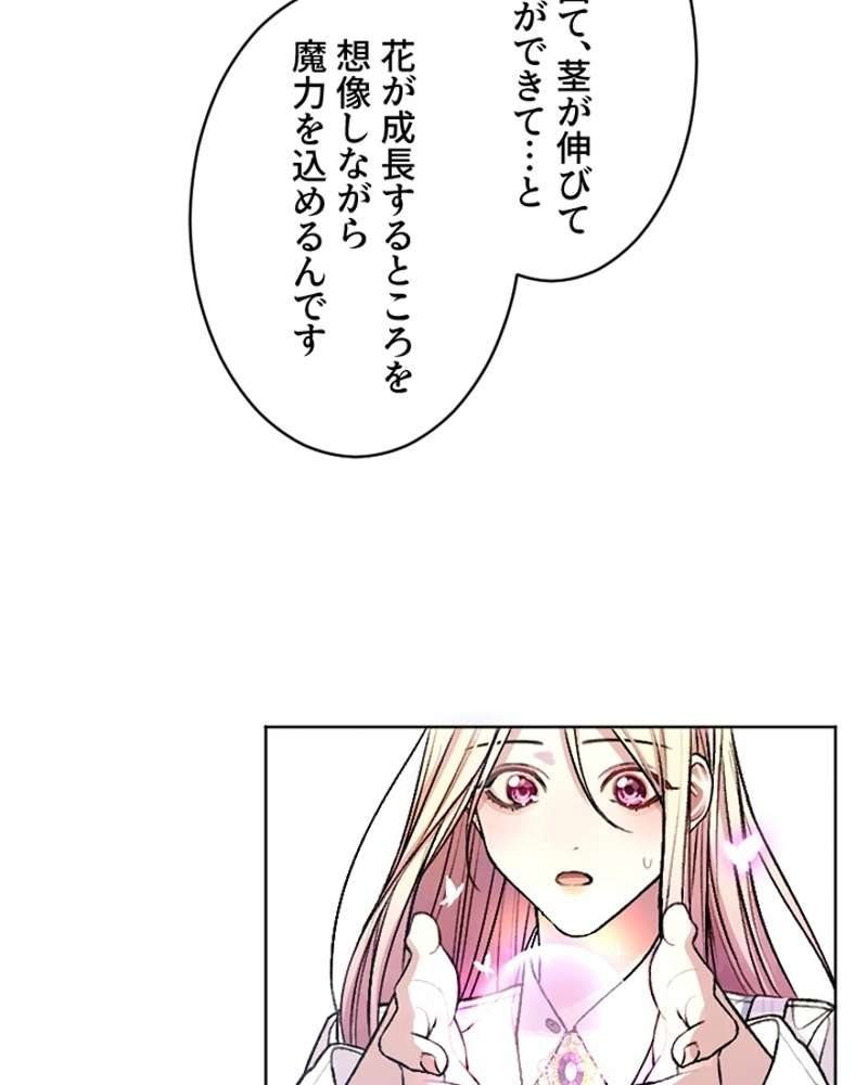 P53