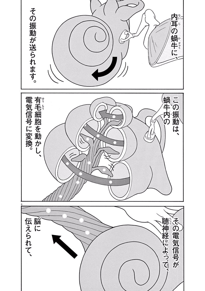 P6