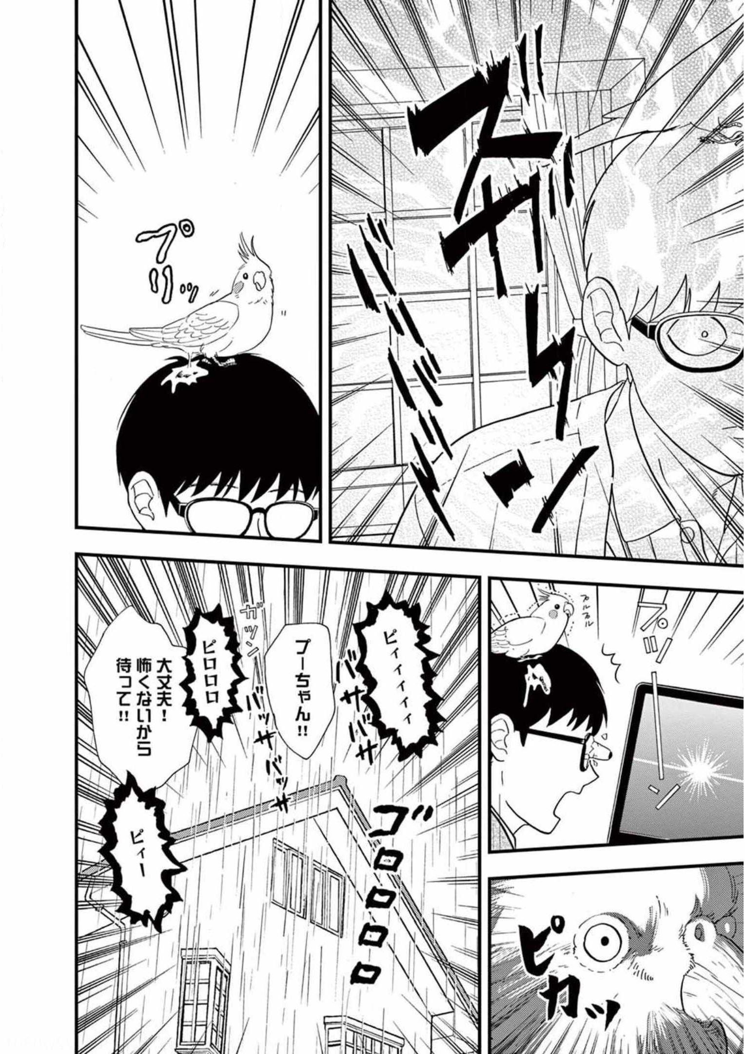 P12