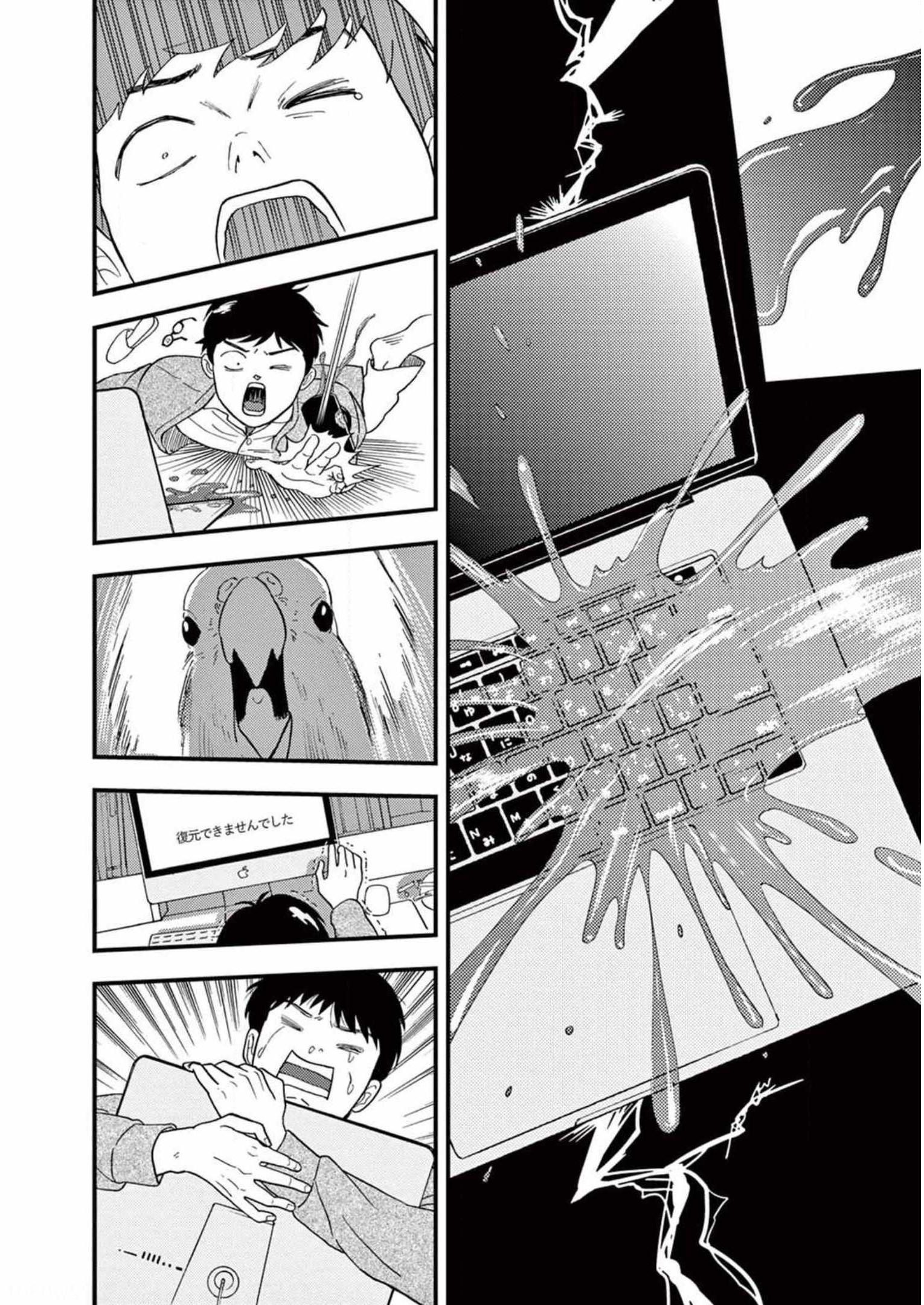 P14