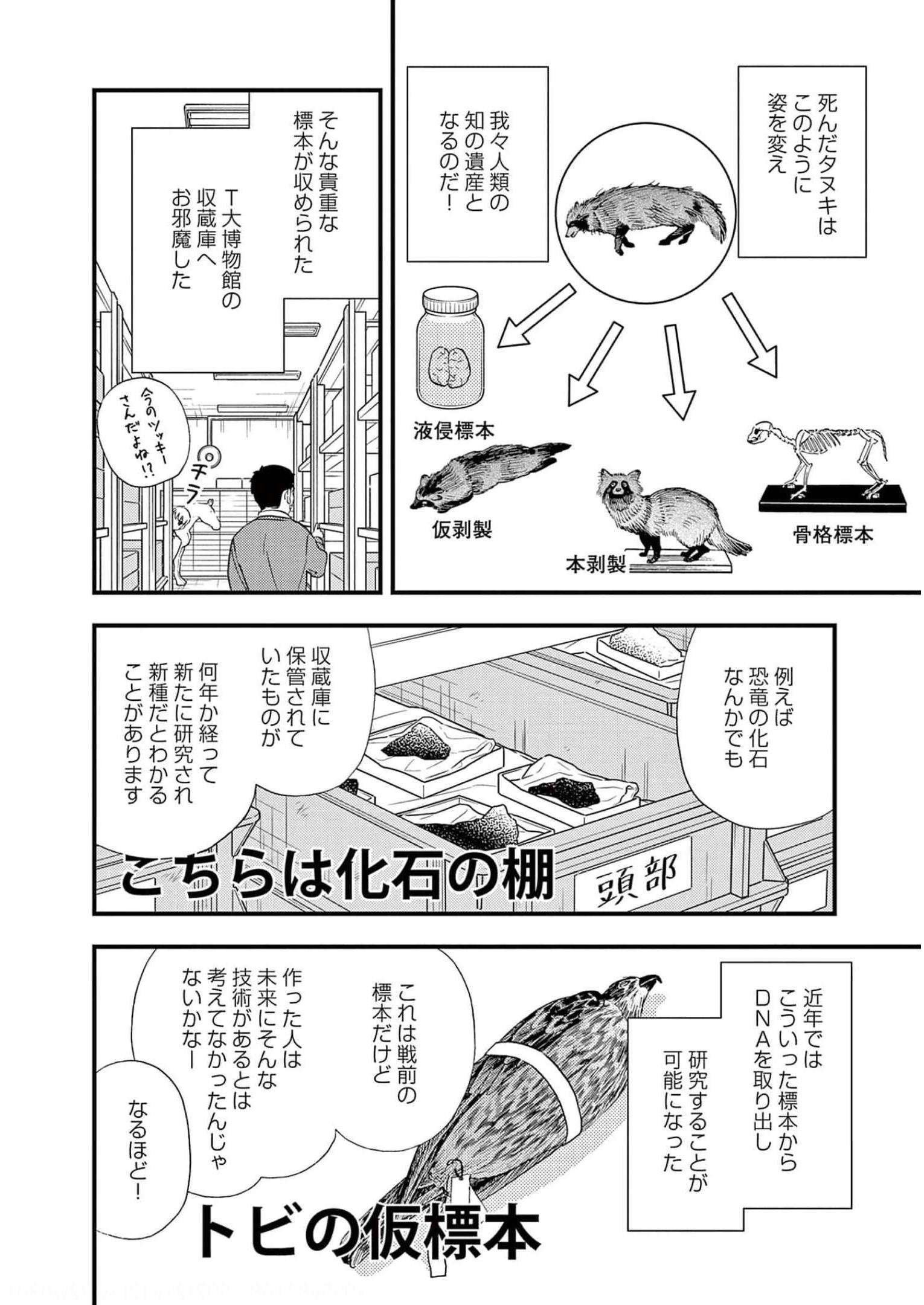 P14