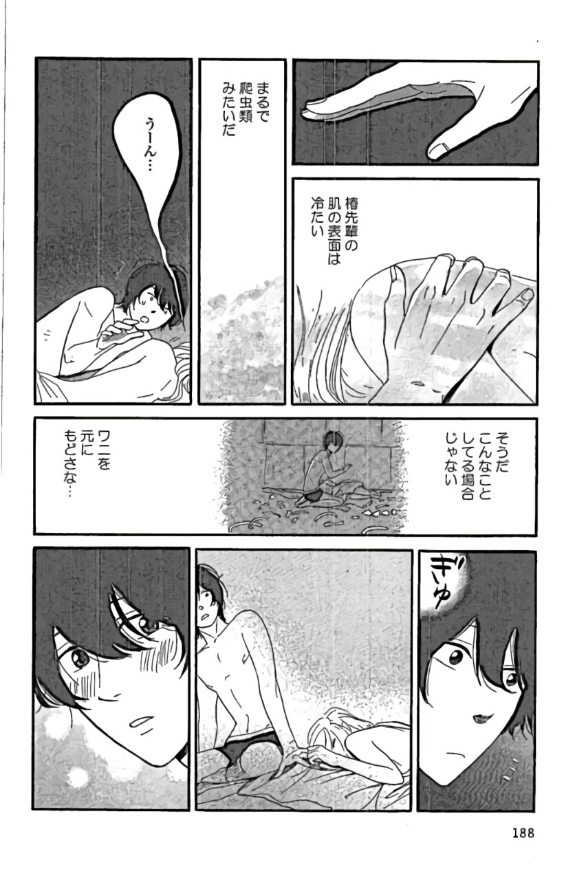 P26