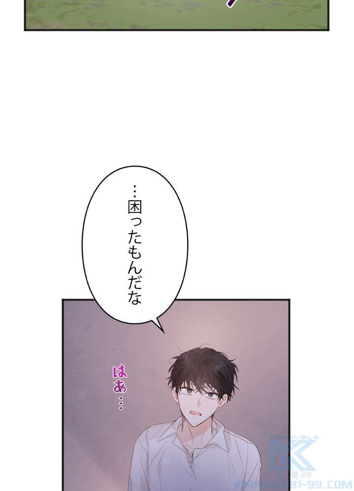 P61