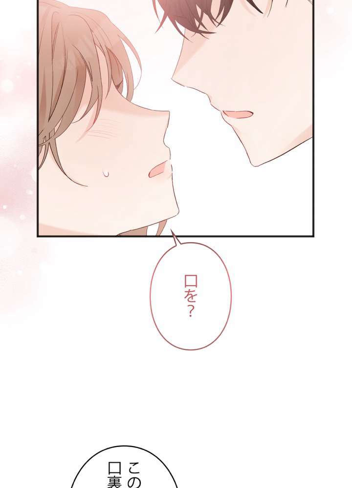 P66