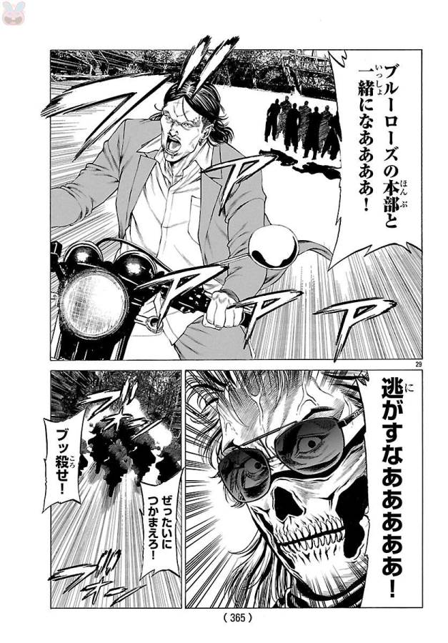 P29
