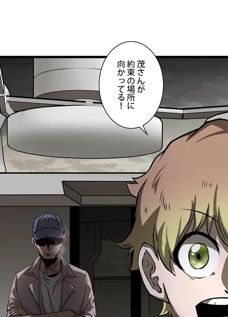 P53