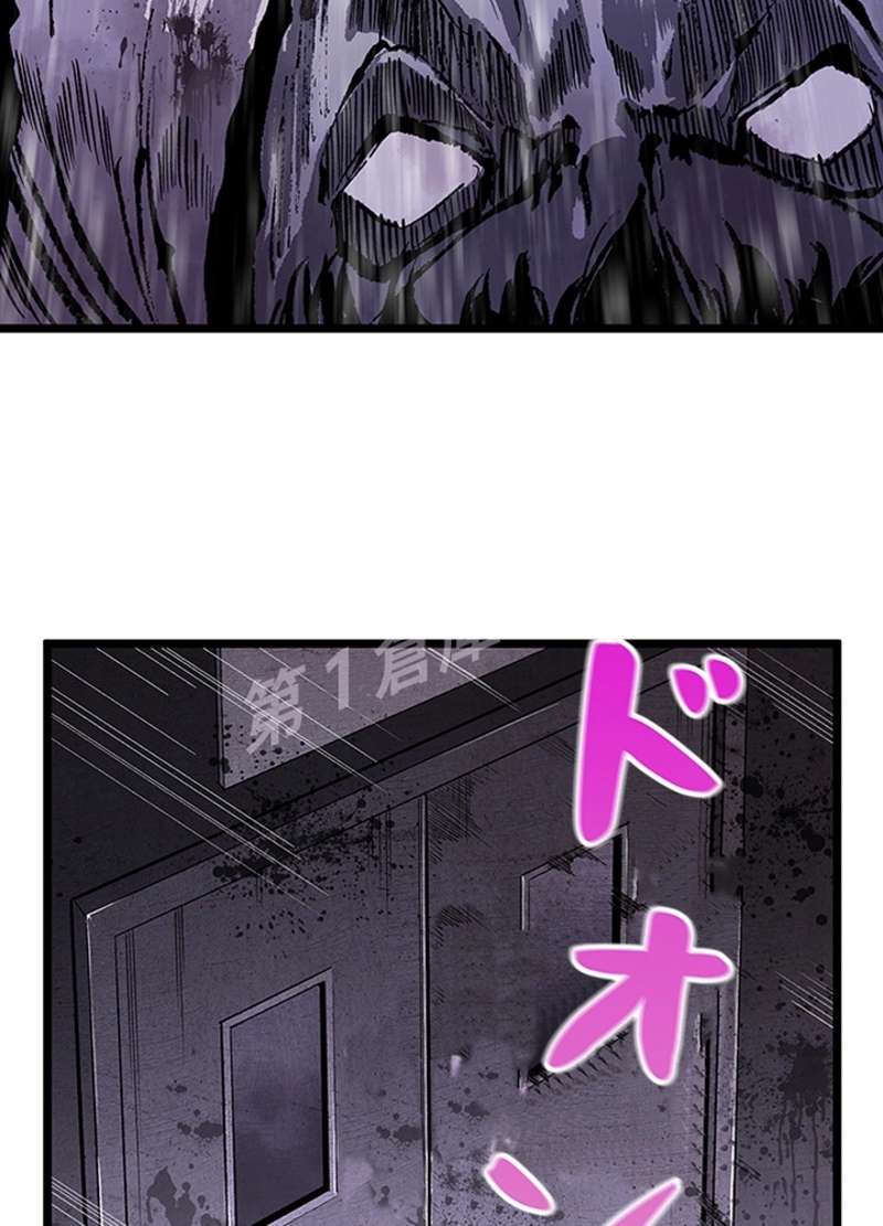 P66
