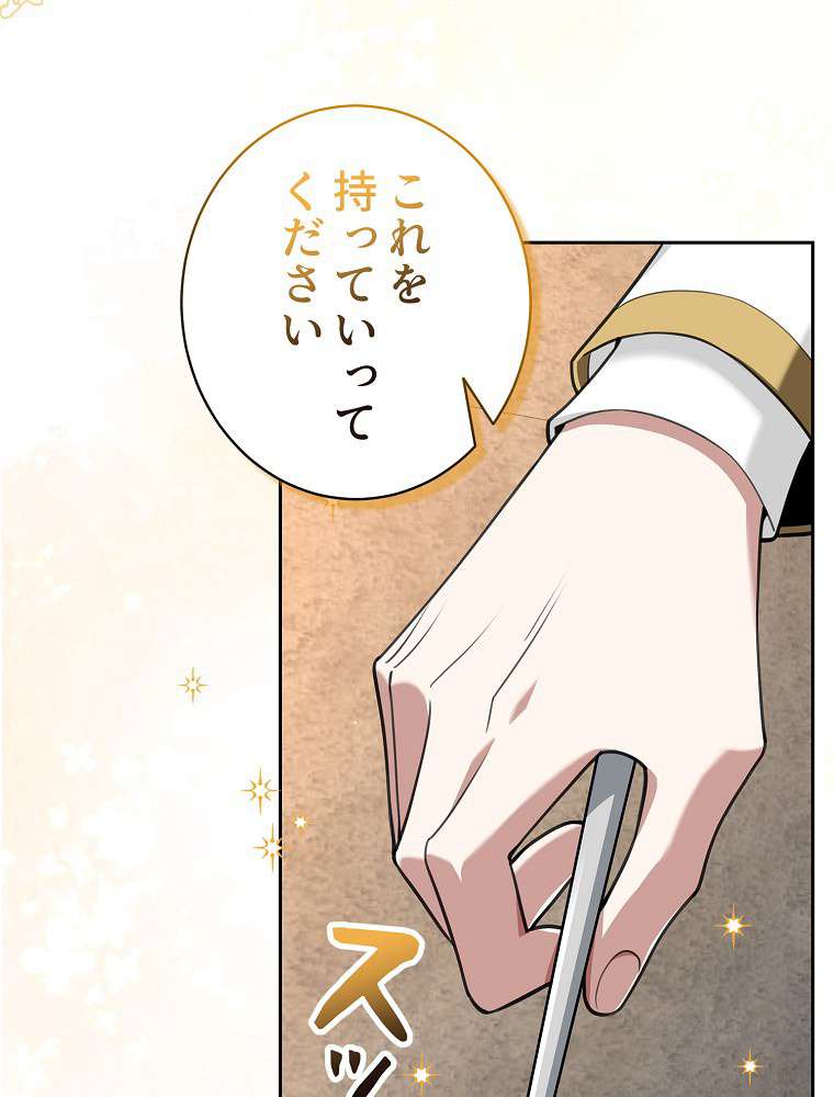 P66