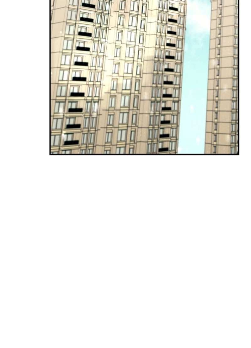 P66