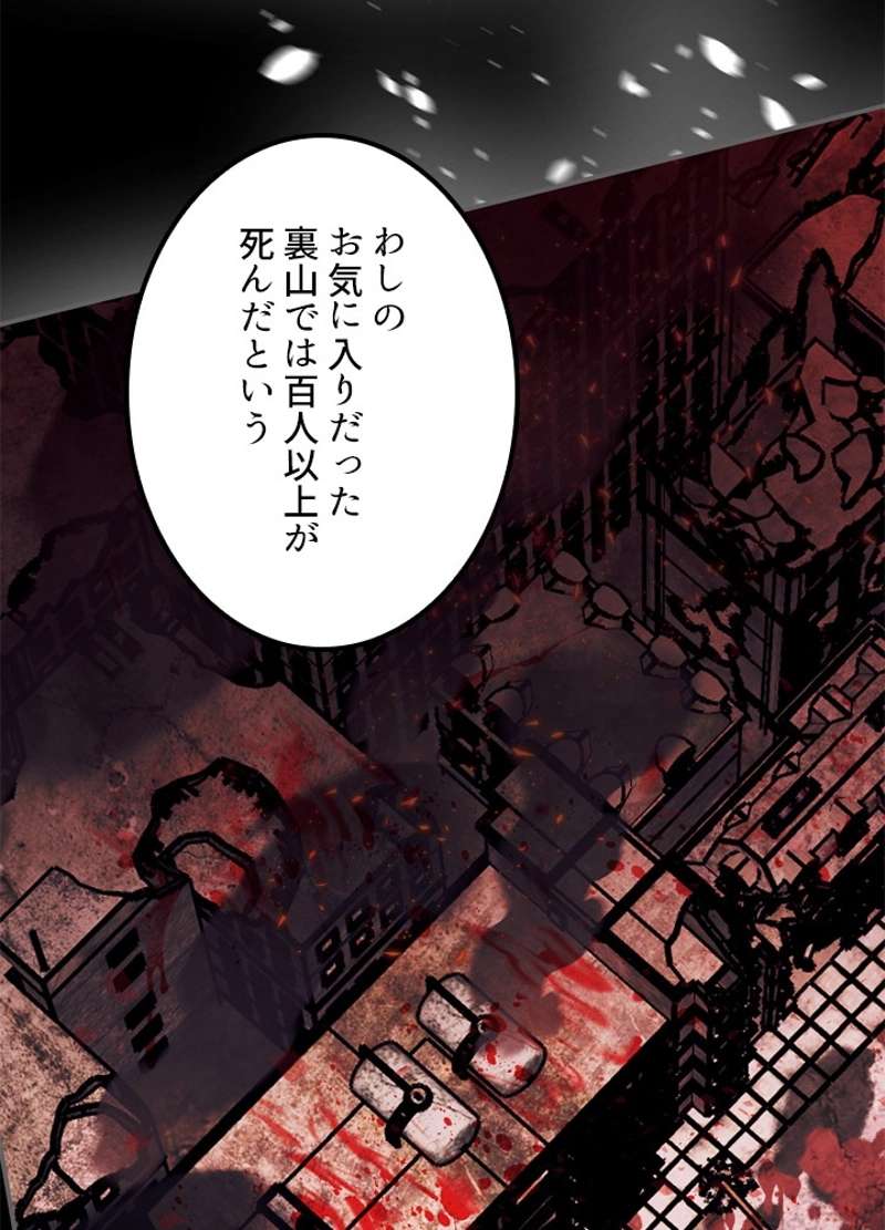 P84