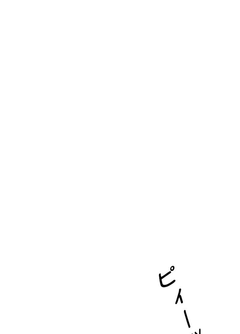 P24