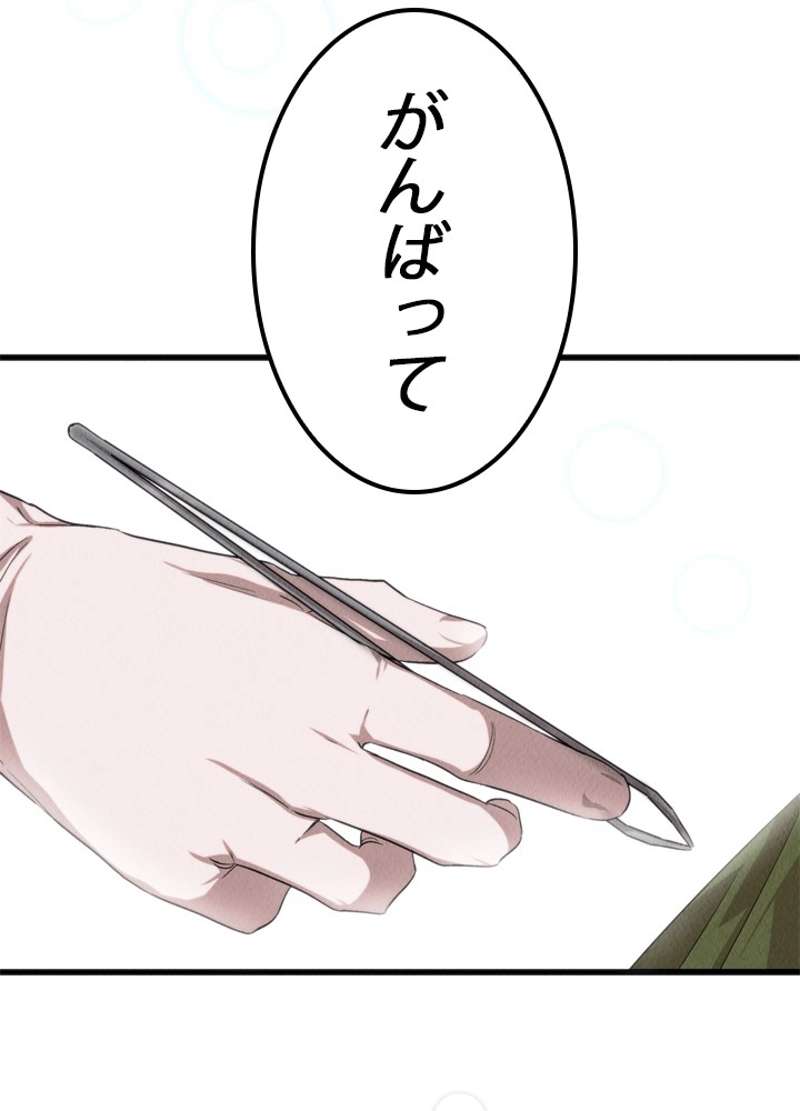 P66