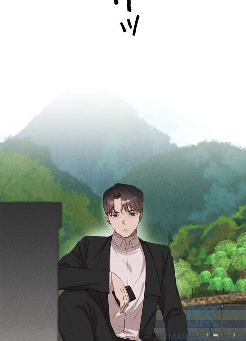 P53