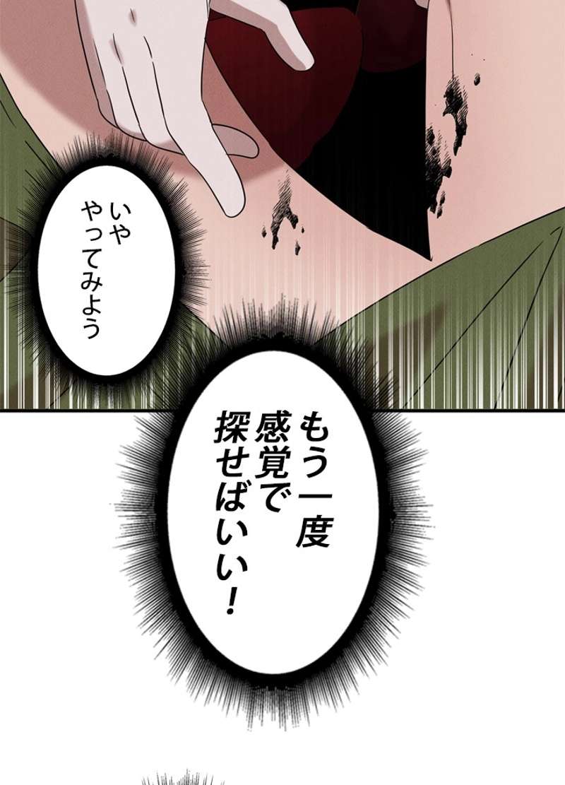 P66