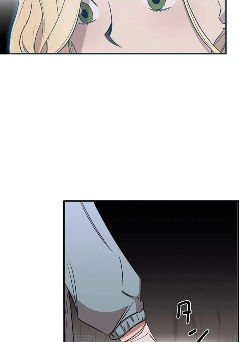 P61