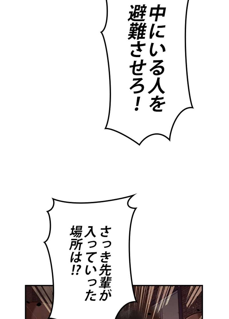 P53