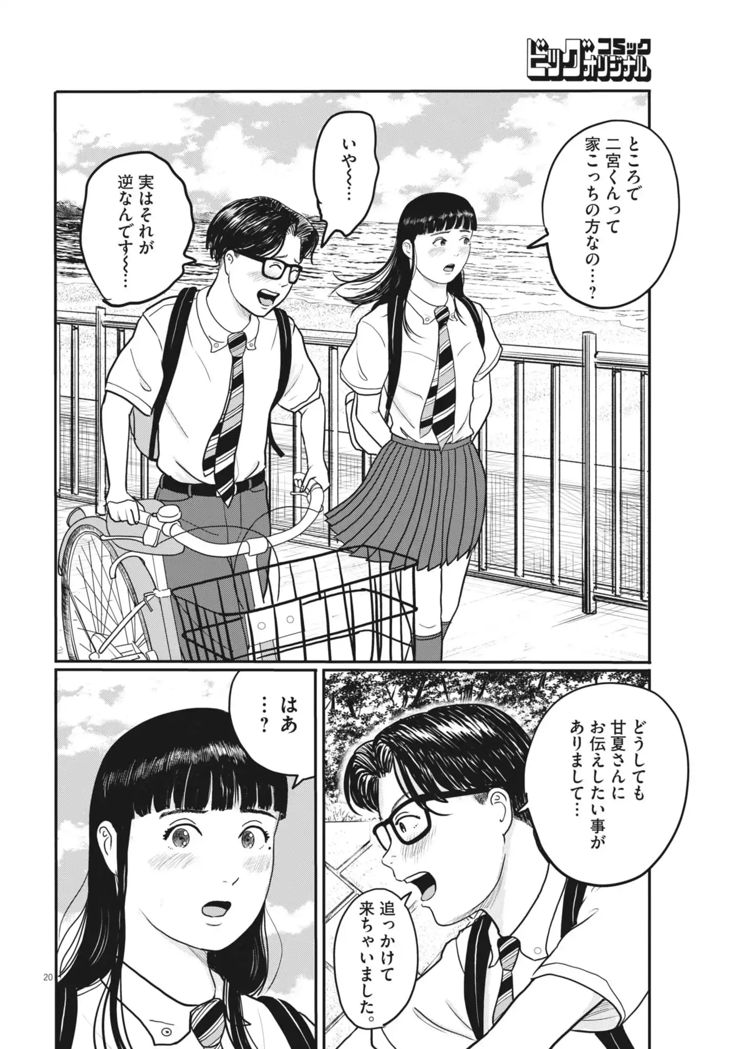 P20