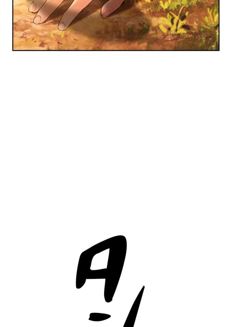 P66