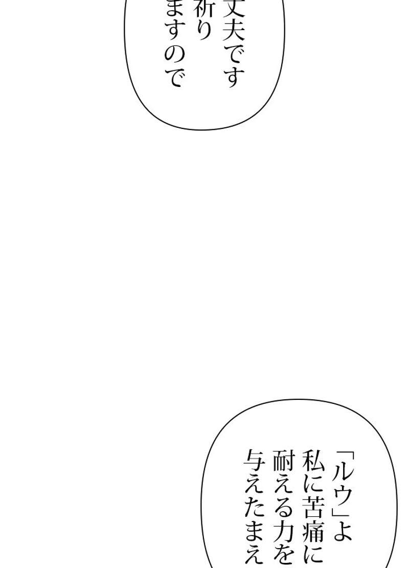 P53