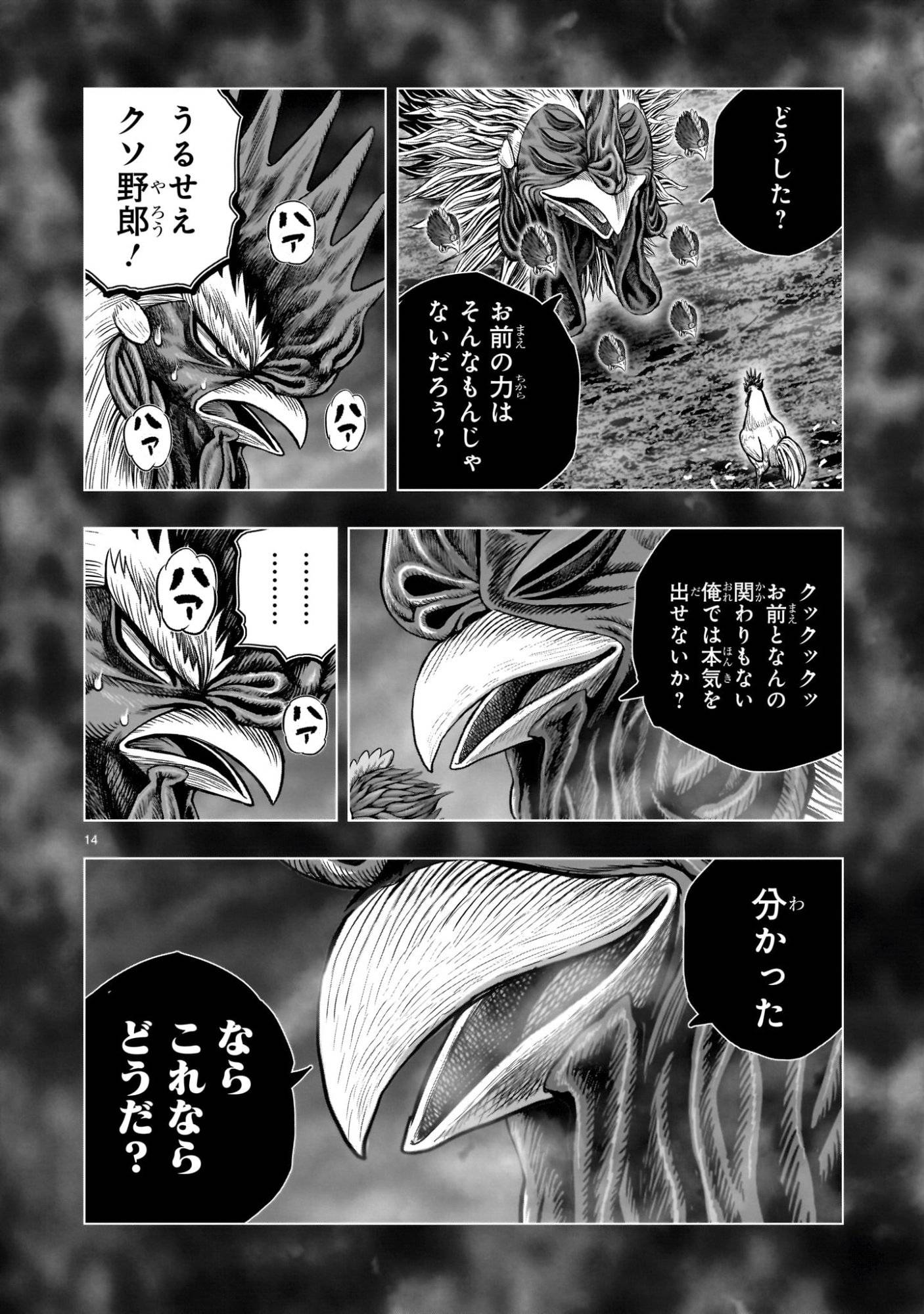 P14