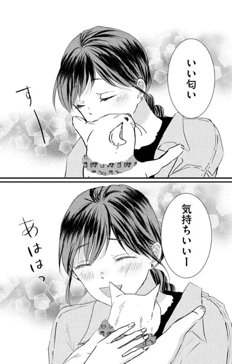 P61