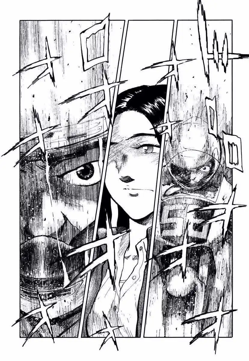 P31