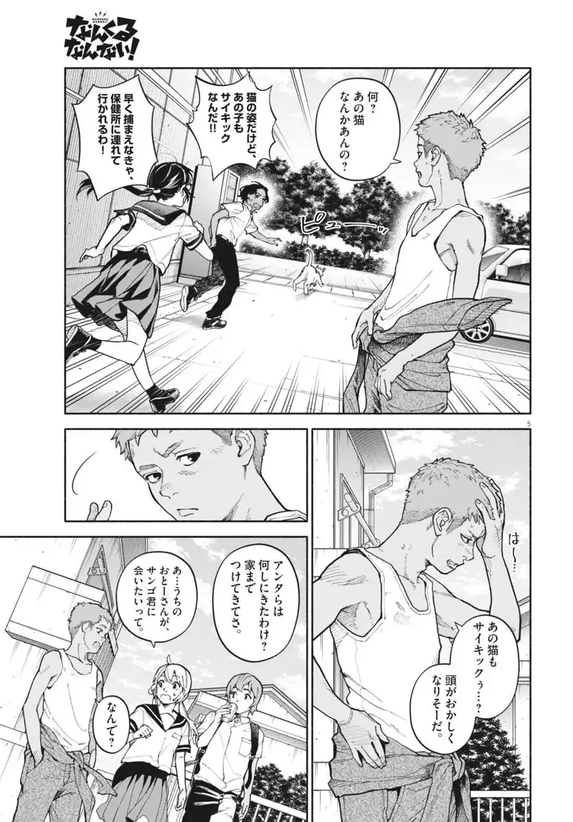 P5