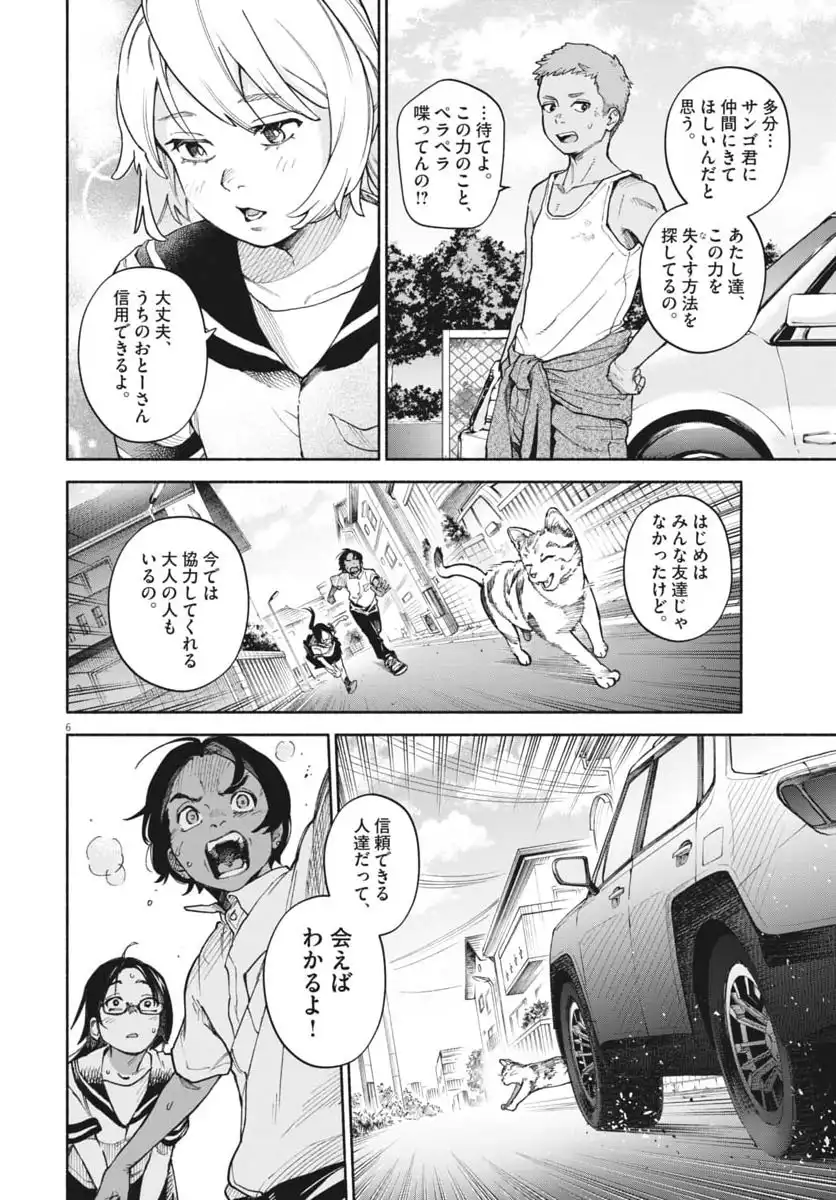 P6