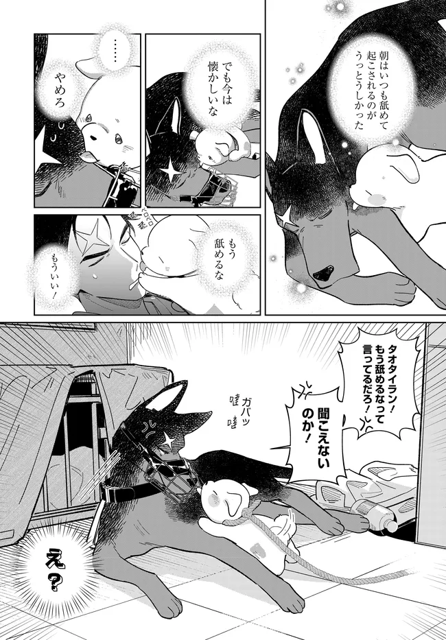 P17