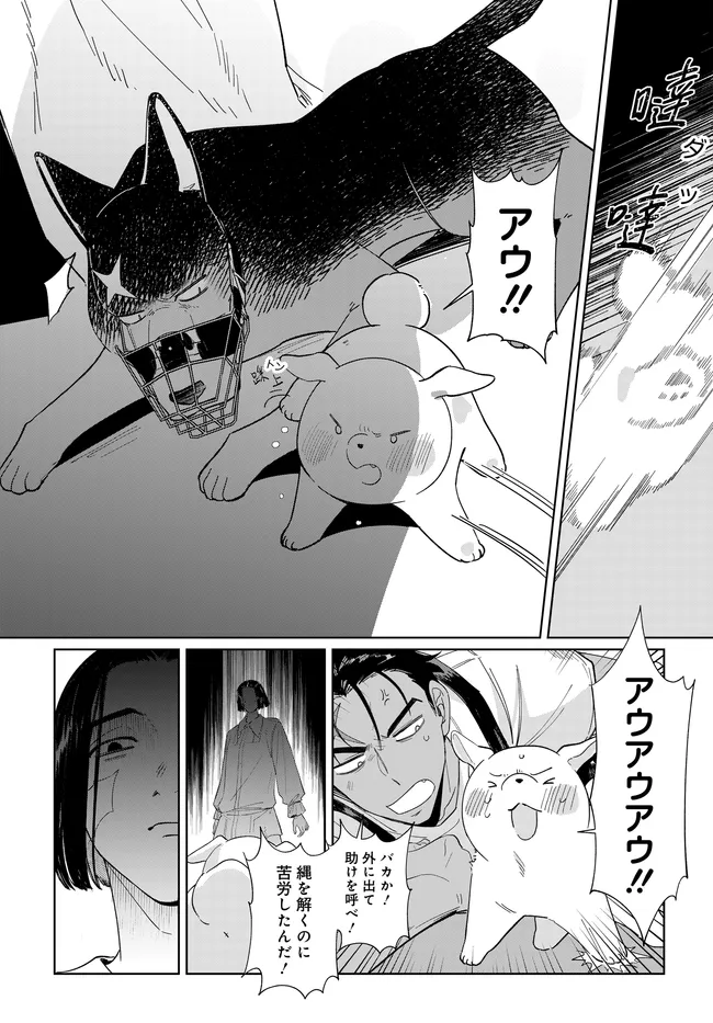 P23